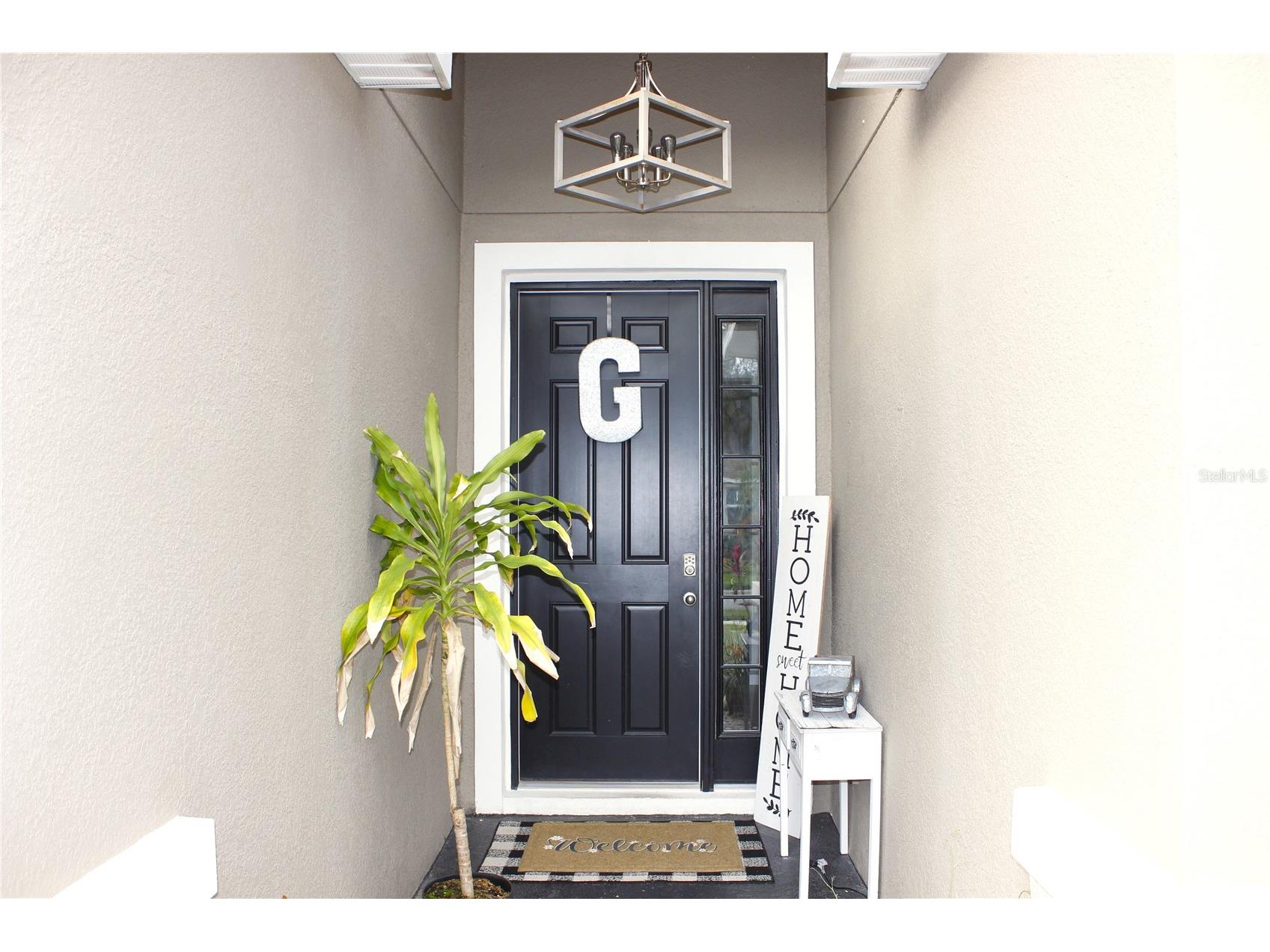 33034 Sand Creek Drive Wesley Chapel FL 33543 TB8464832 image7