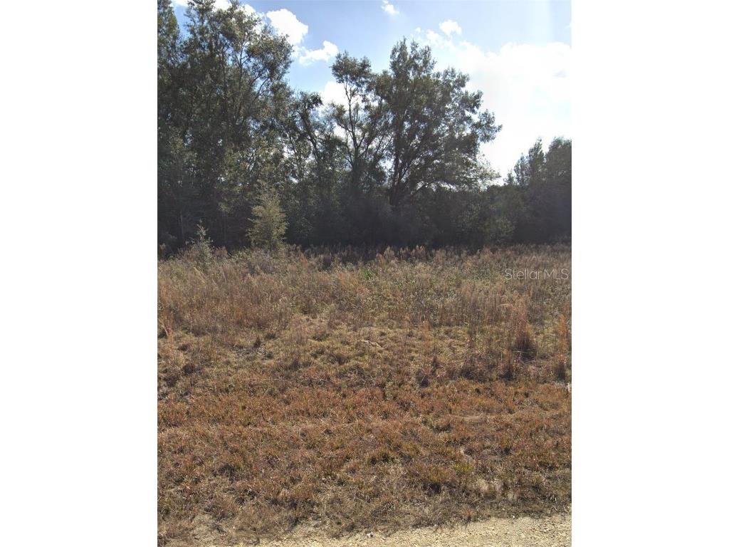 33036 Headstone Street Webster FL 33597 GC524495 image1