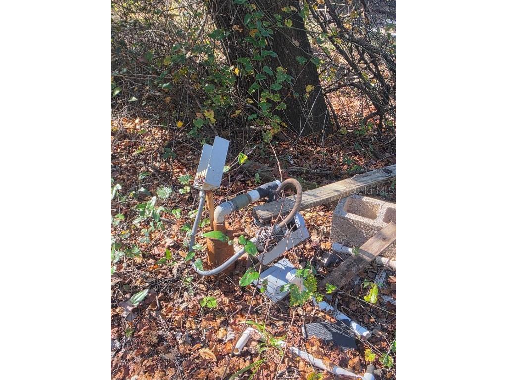 33039 Round Table Road Dade City FL 33523 - WITHLACOOCHEE TB8452138 image10