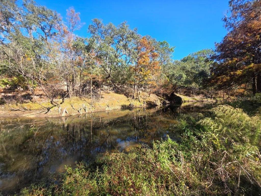 33039 Round Table Road Dade City FL 33523 - WITHLACOOCHEE TB8452138 image12