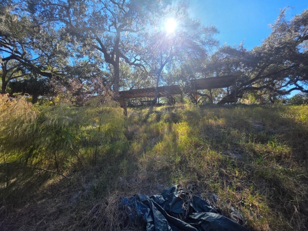 33039 Round Table Road Dade City FL 33523 - WITHLACOOCHEE TB8452138 image13