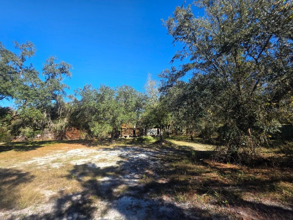 33039 Round Table Road Dade City FL 33523 - WITHLACOOCHEE TB8452138 image2