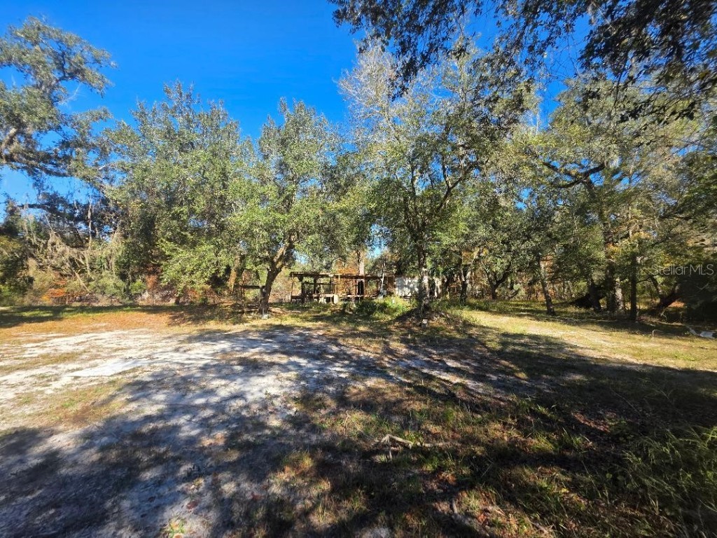 33039 Round Table Road Dade City FL 33523 - WITHLACOOCHEE TB8452138 image4