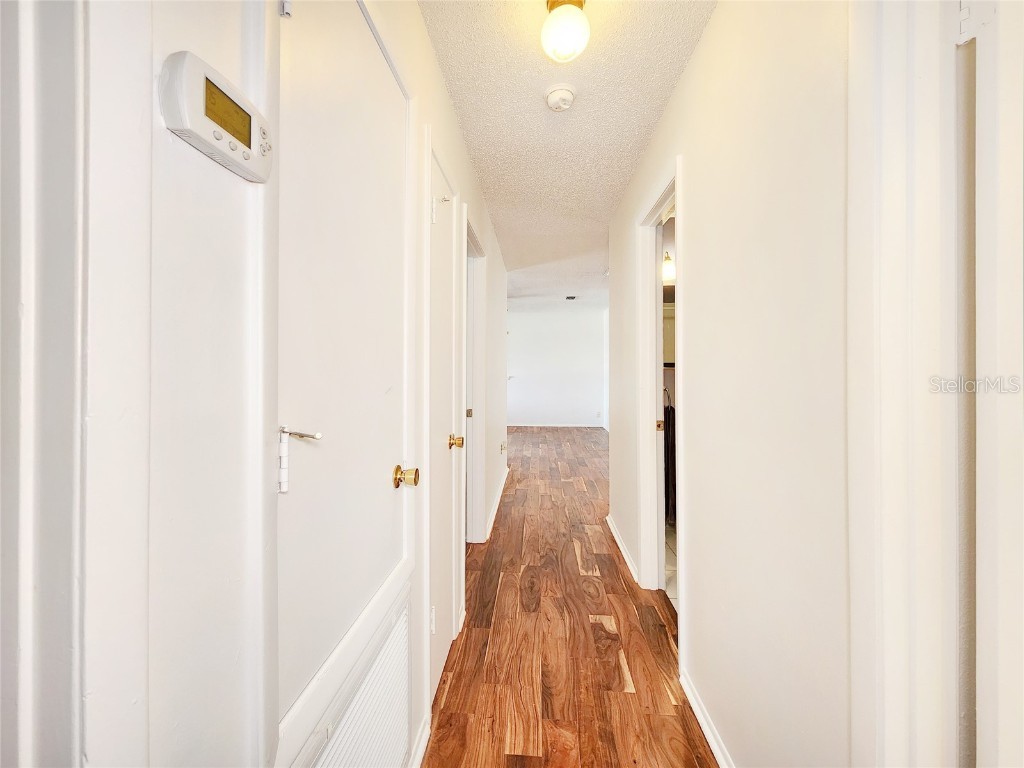 3304 Alamar Street Lutz FL 33558 TB8398164 image25