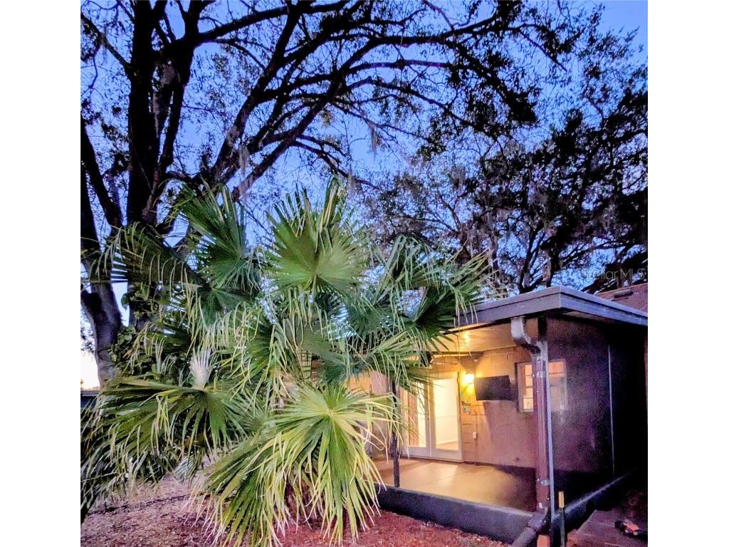 3304 Alamar Street Lutz FL 33558 TB8398164 image36