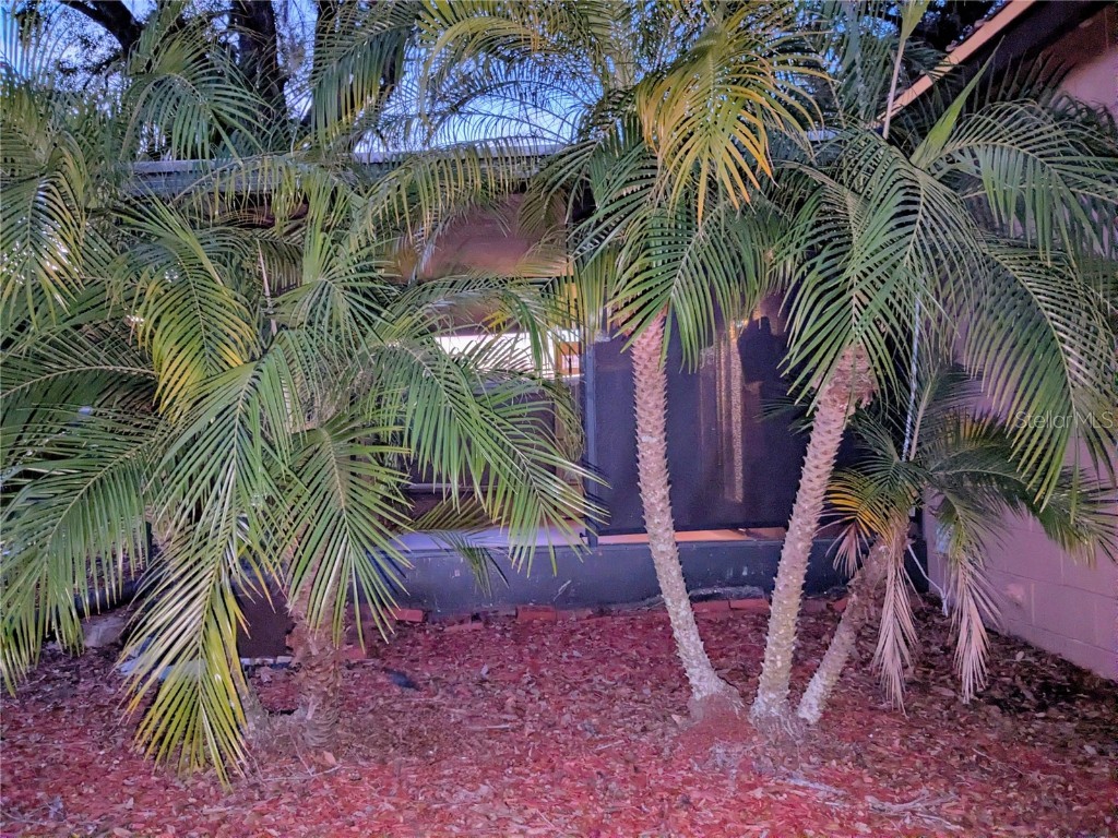 3304 Alamar Street Lutz FL 33558 TB8398164 image37