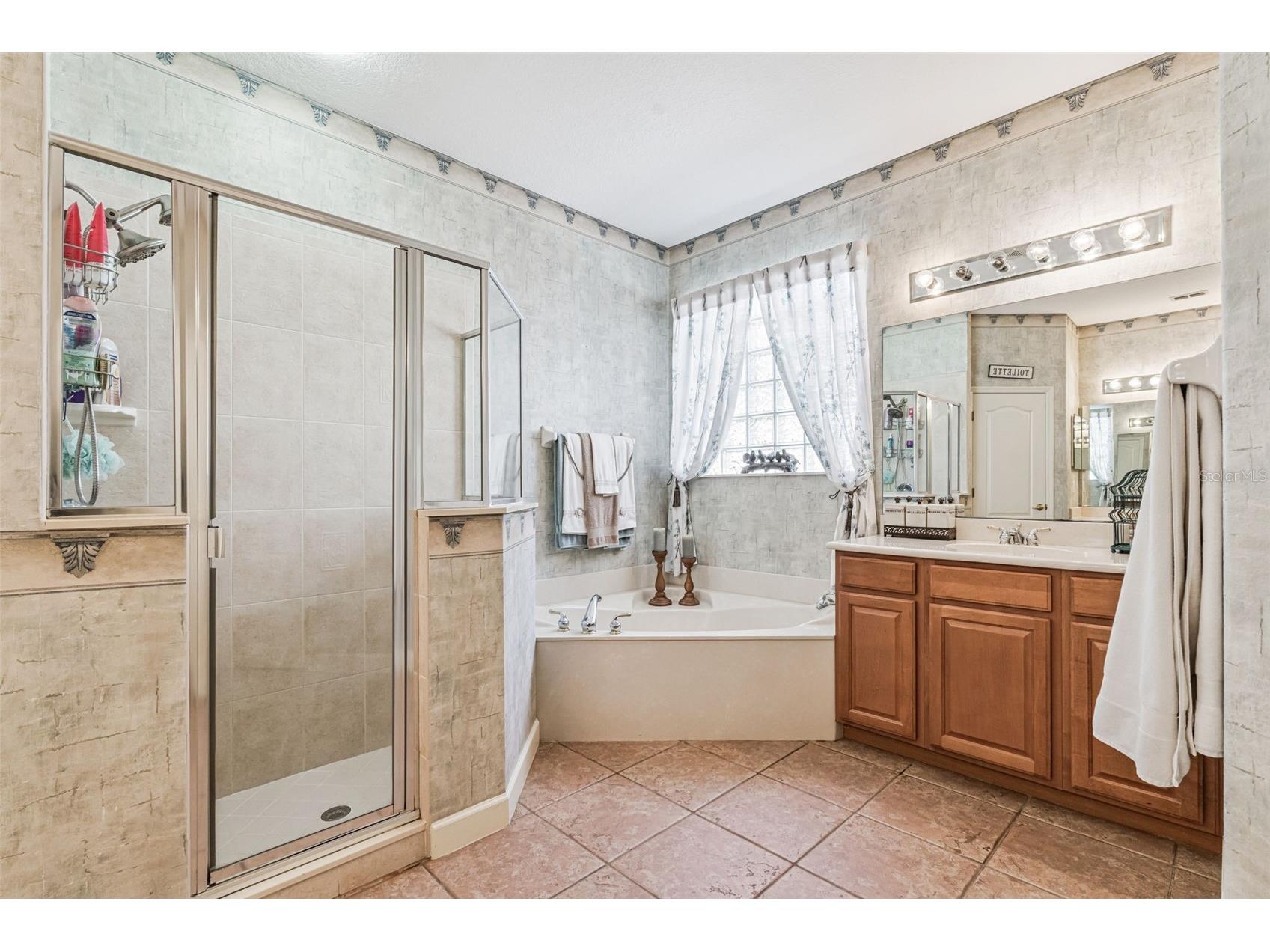 3304 Beazer Drive Ocoee FL 34761 O6397932 image22