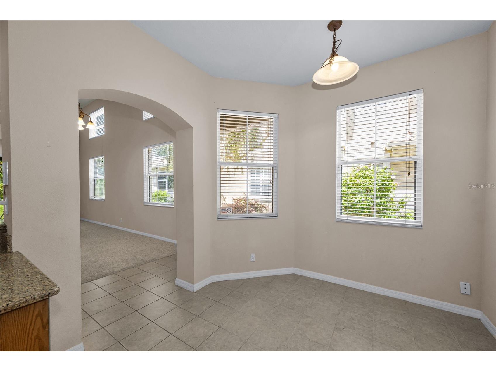 3304 Covered Bridge Drive E Dunedin FL 34698 TB8493945 image26