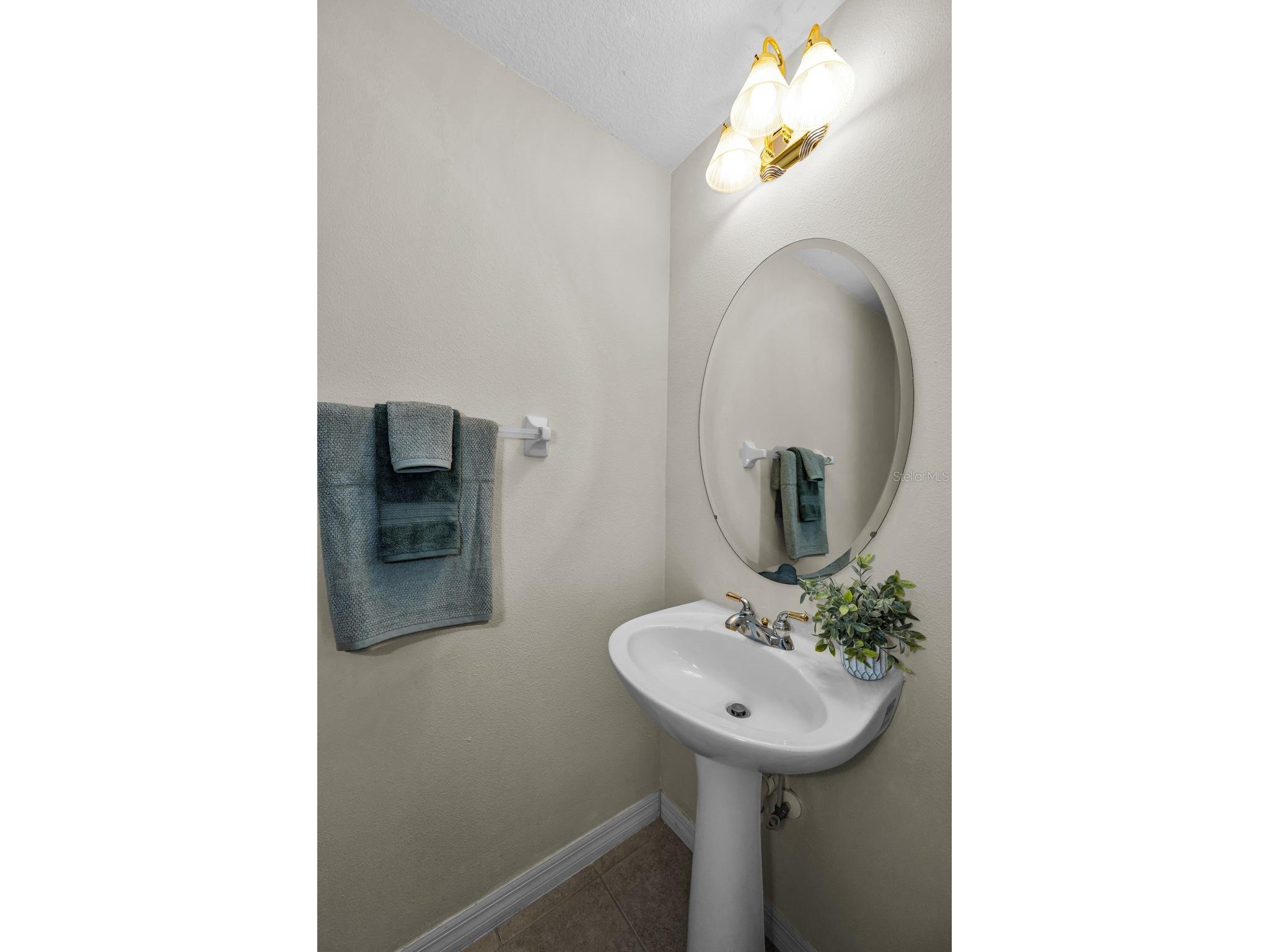 3304 Covered Bridge Drive E Dunedin FL 34698 TB8493945 image37