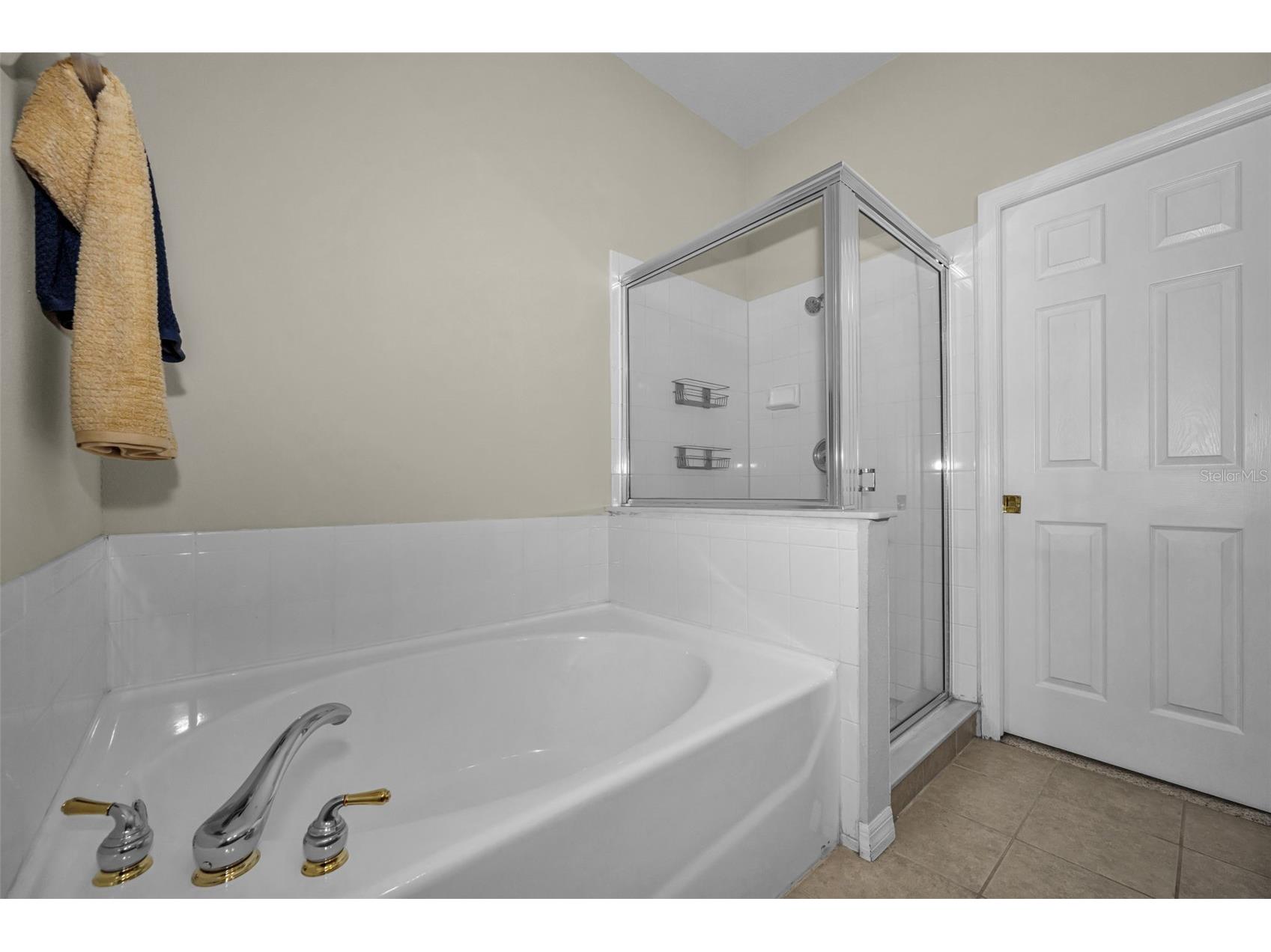 3304 Covered Bridge Drive E Dunedin FL 34698 TB8493945 image46