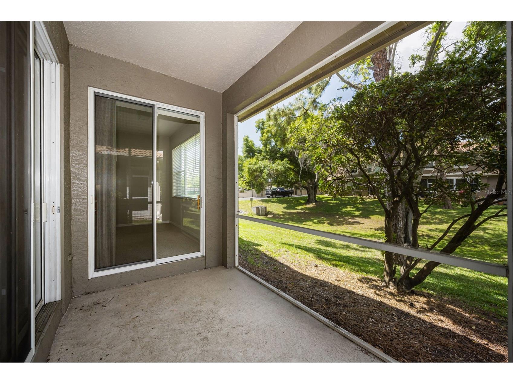 3304 Covered Bridge Drive E Dunedin FL 34698 TB8493945 image62