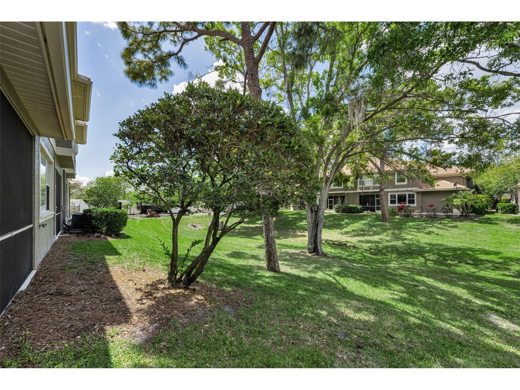3304 Covered Bridge Drive E Dunedin FL 34698 TB8493945 image67