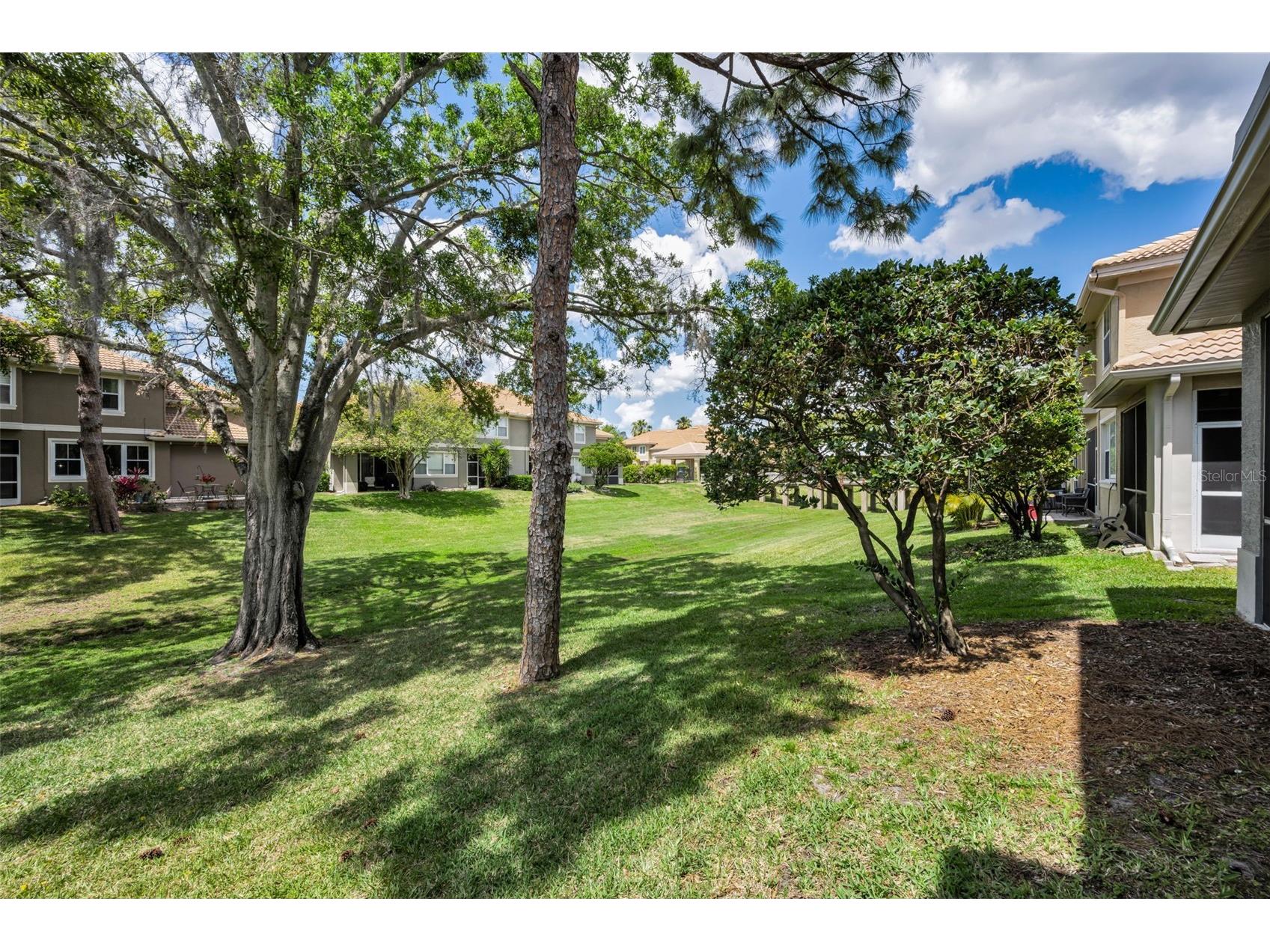 3304 Covered Bridge Drive E Dunedin FL 34698 TB8493945 image68