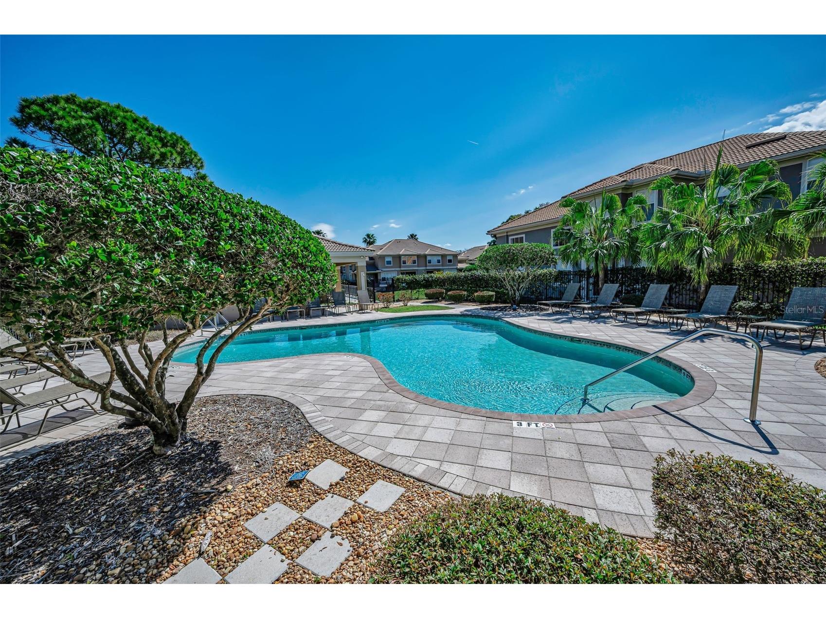 3304 Covered Bridge Drive E Dunedin FL 34698 TB8493945 image81