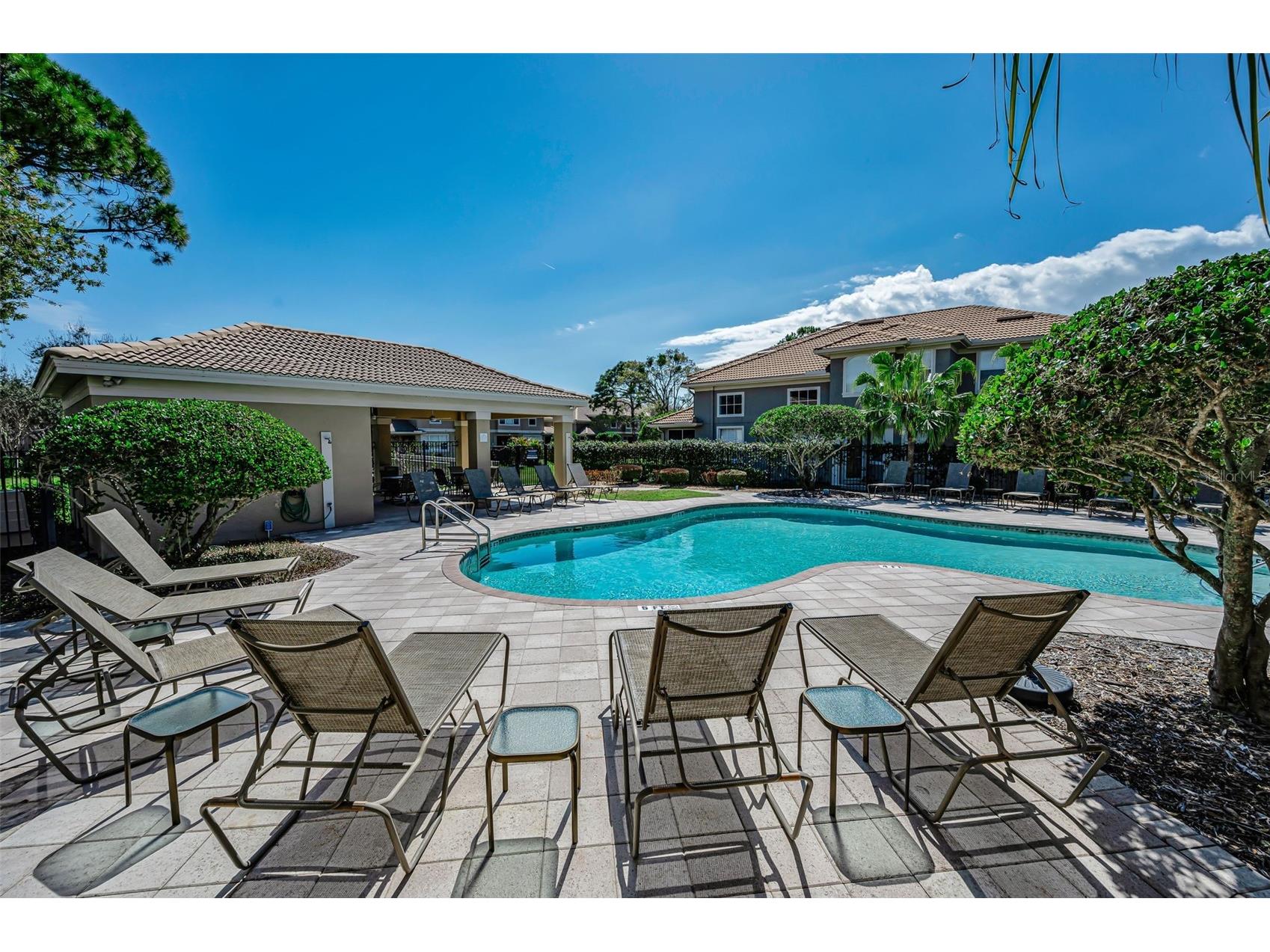 3304 Covered Bridge Drive E Dunedin FL 34698 TB8493945 image83