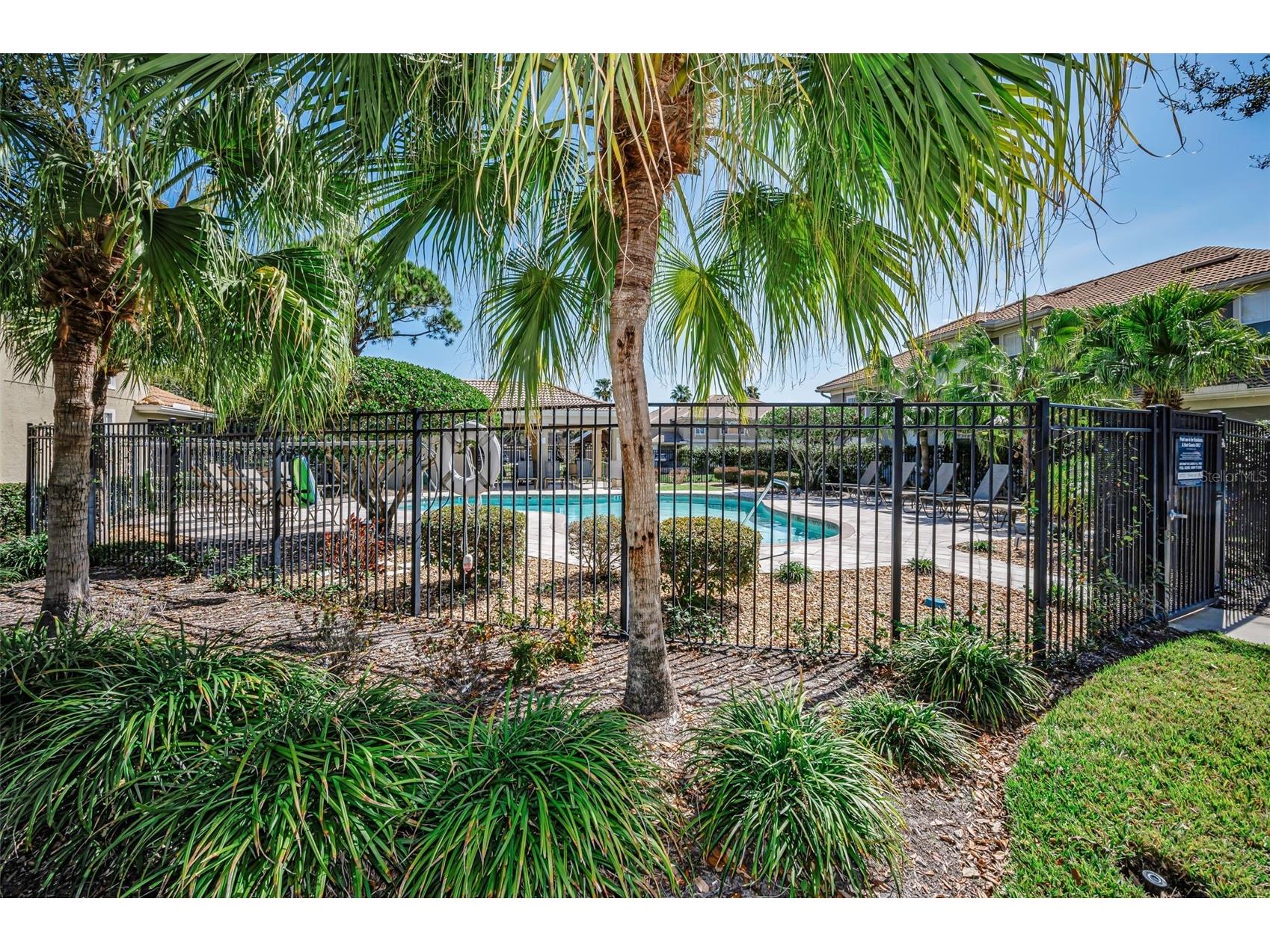 3304 Covered Bridge Drive E Dunedin FL 34698 TB8493945 image85