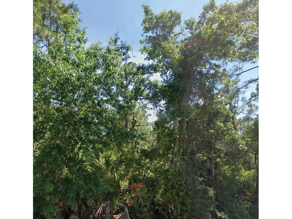 3304 Lake Hill Drive Lake Placid FL 33852 O6285334 image1