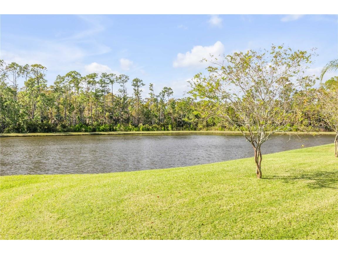 3304 Modena Way New Smyrna Beach FL 32168 NS1086355 image58