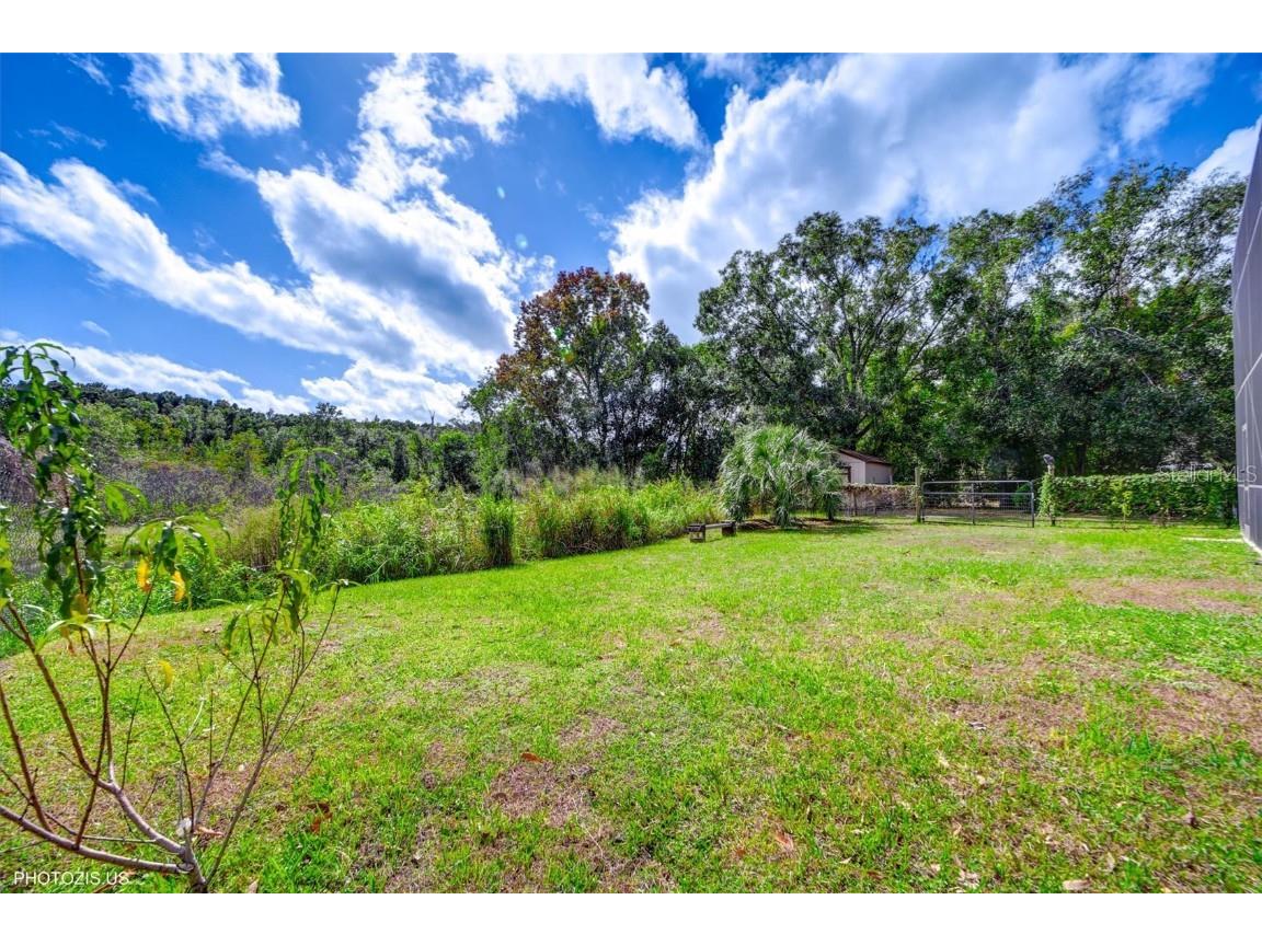 3304 Moran Road Tampa FL 33618 A4669573 image60