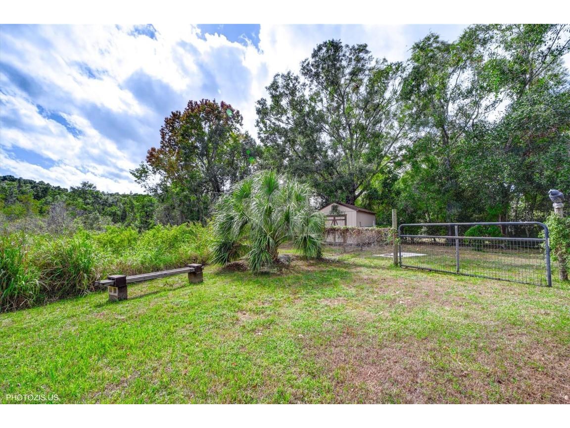 3304 Moran Road Tampa FL 33618 A4669573 image61