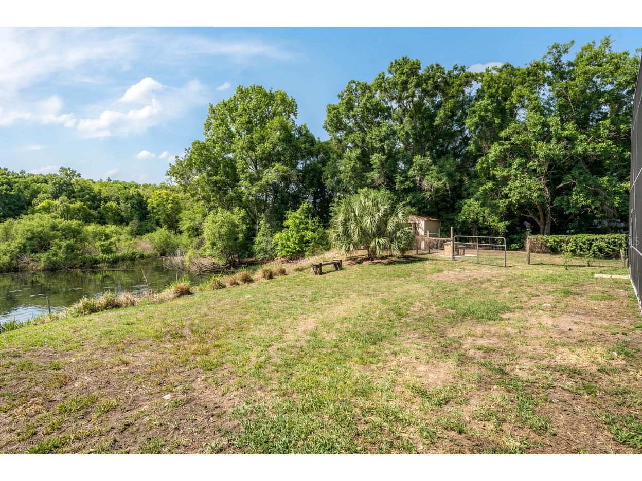 3304 Moran Road Tampa FL 33618 TB8502418 image2