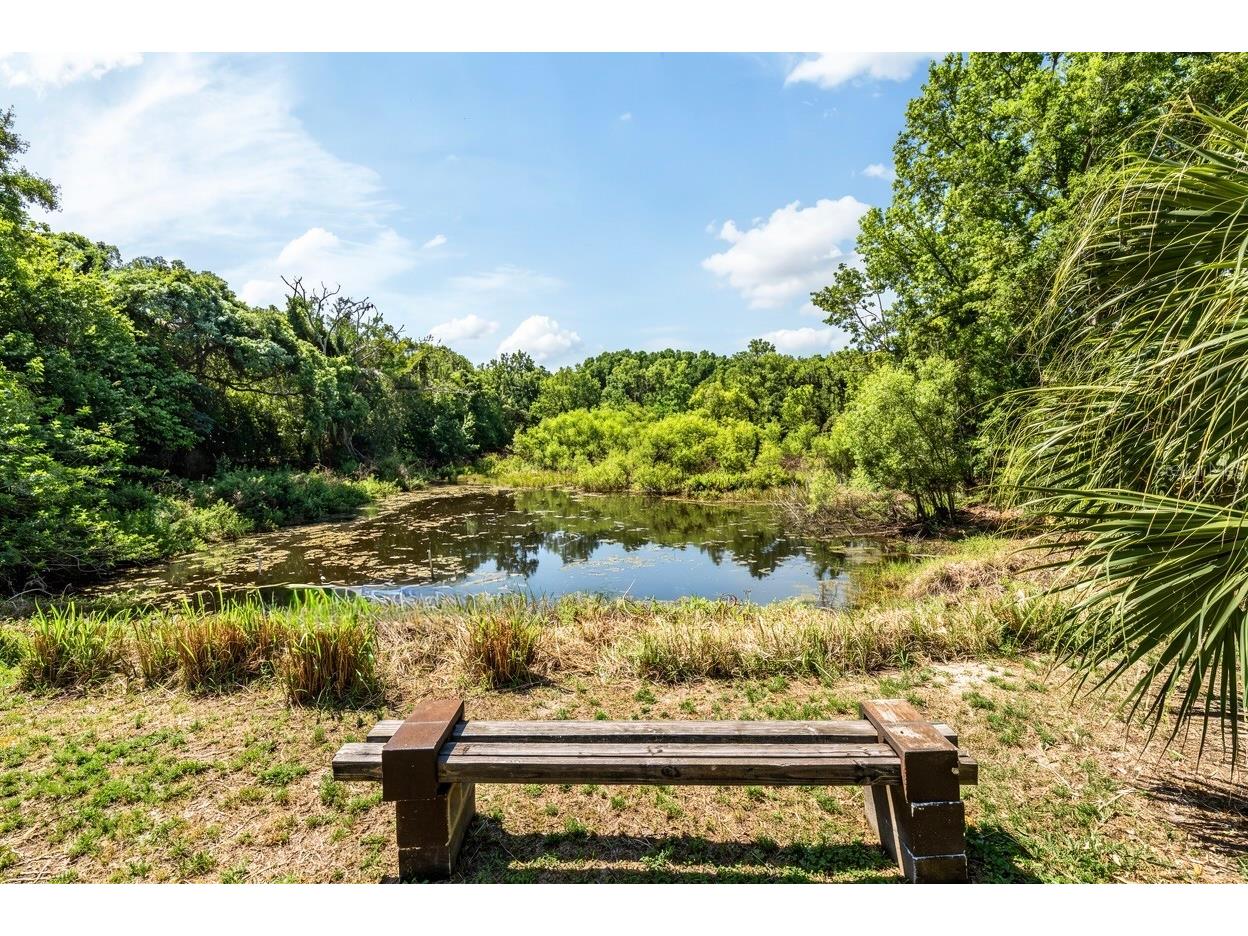 3304 Moran Road Tampa FL 33618 TB8502418 image3