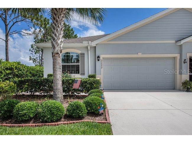 33042 Windelstraw Drive Wesley Chapel FL 33545 T3449030 image1