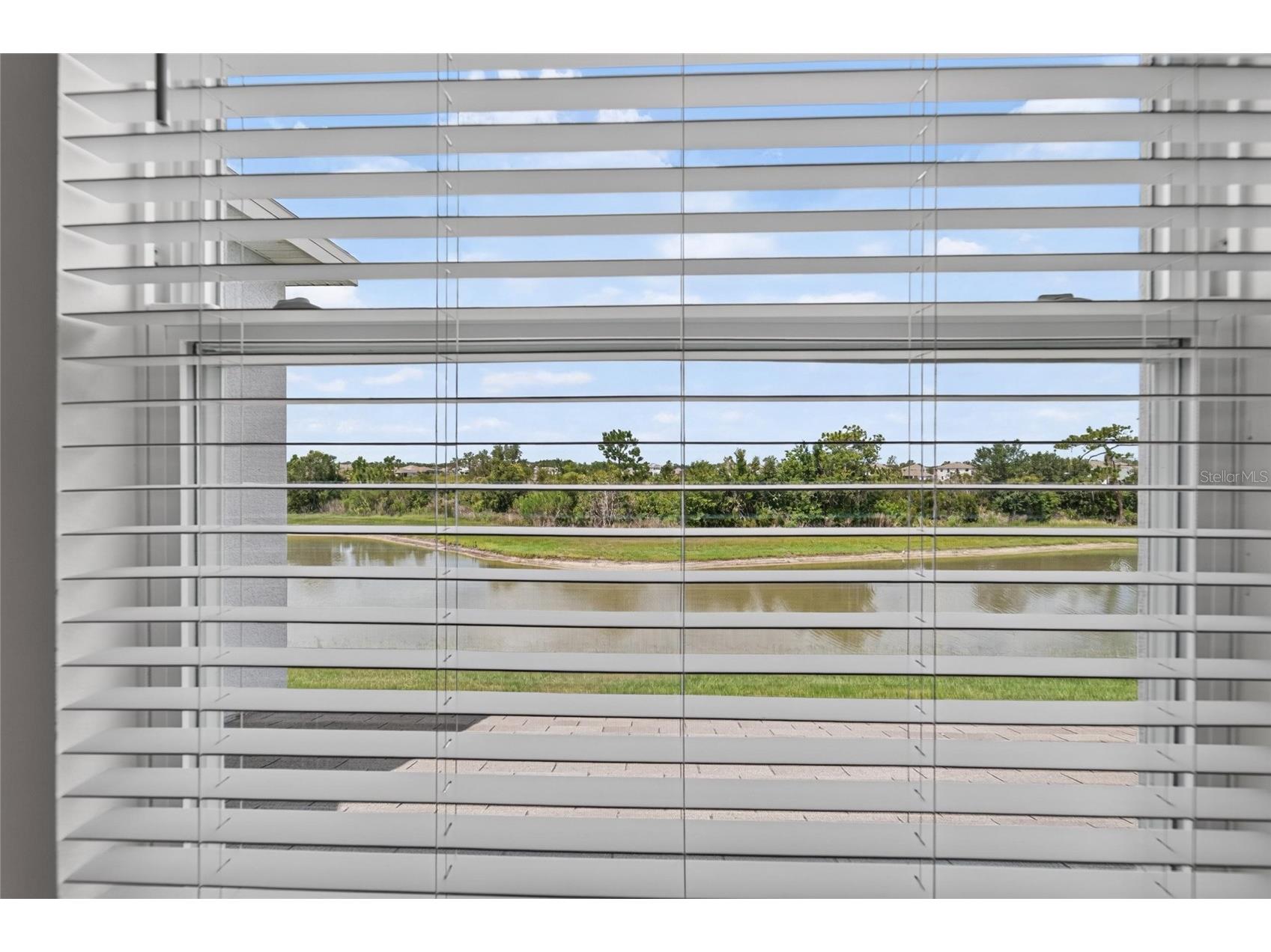 33046 Major Oak Drive Wesley Chapel FL 33545 TB8522225 image40