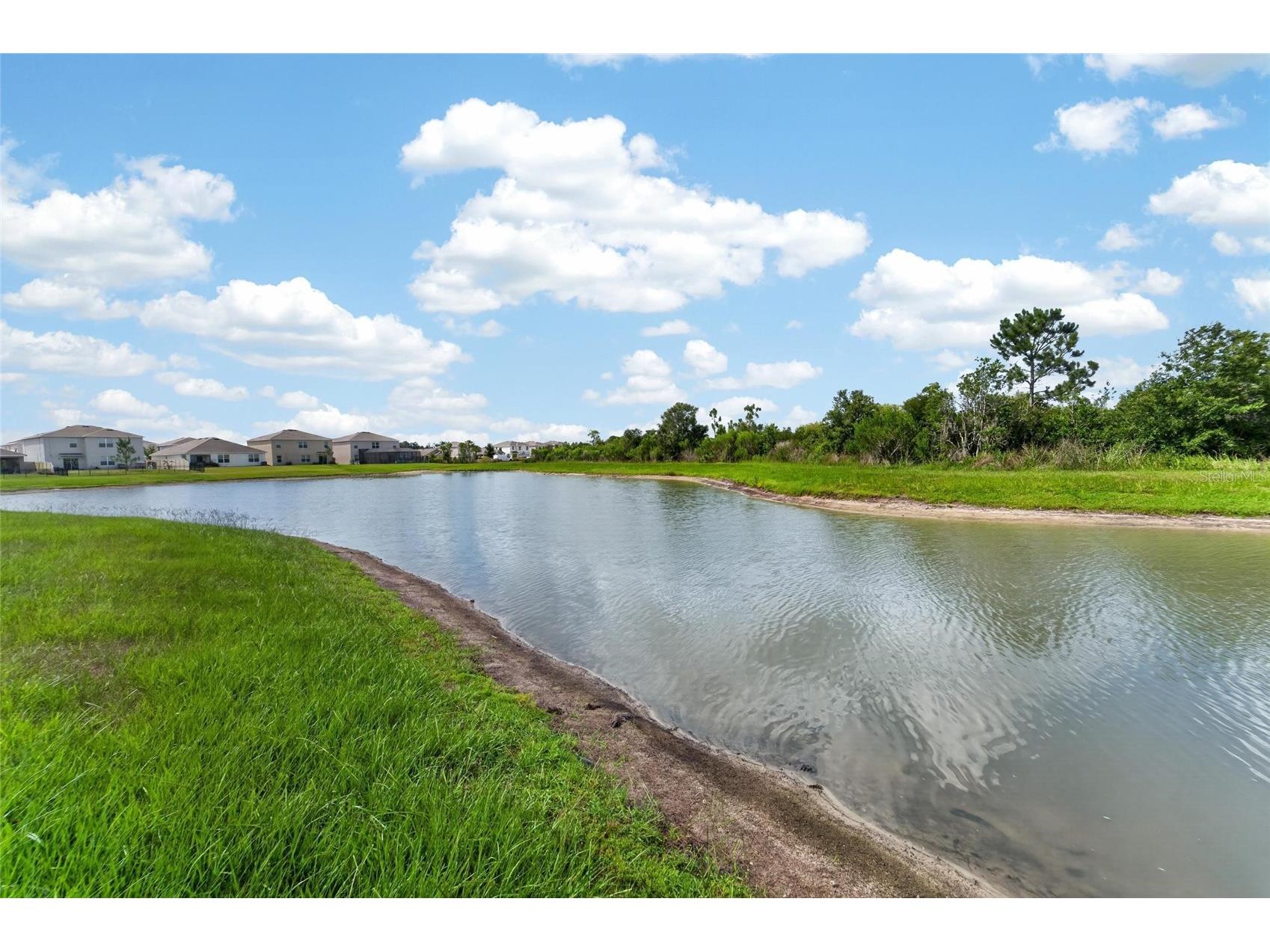 33046 Major Oak Drive Wesley Chapel FL 33545 TB8522225 image45