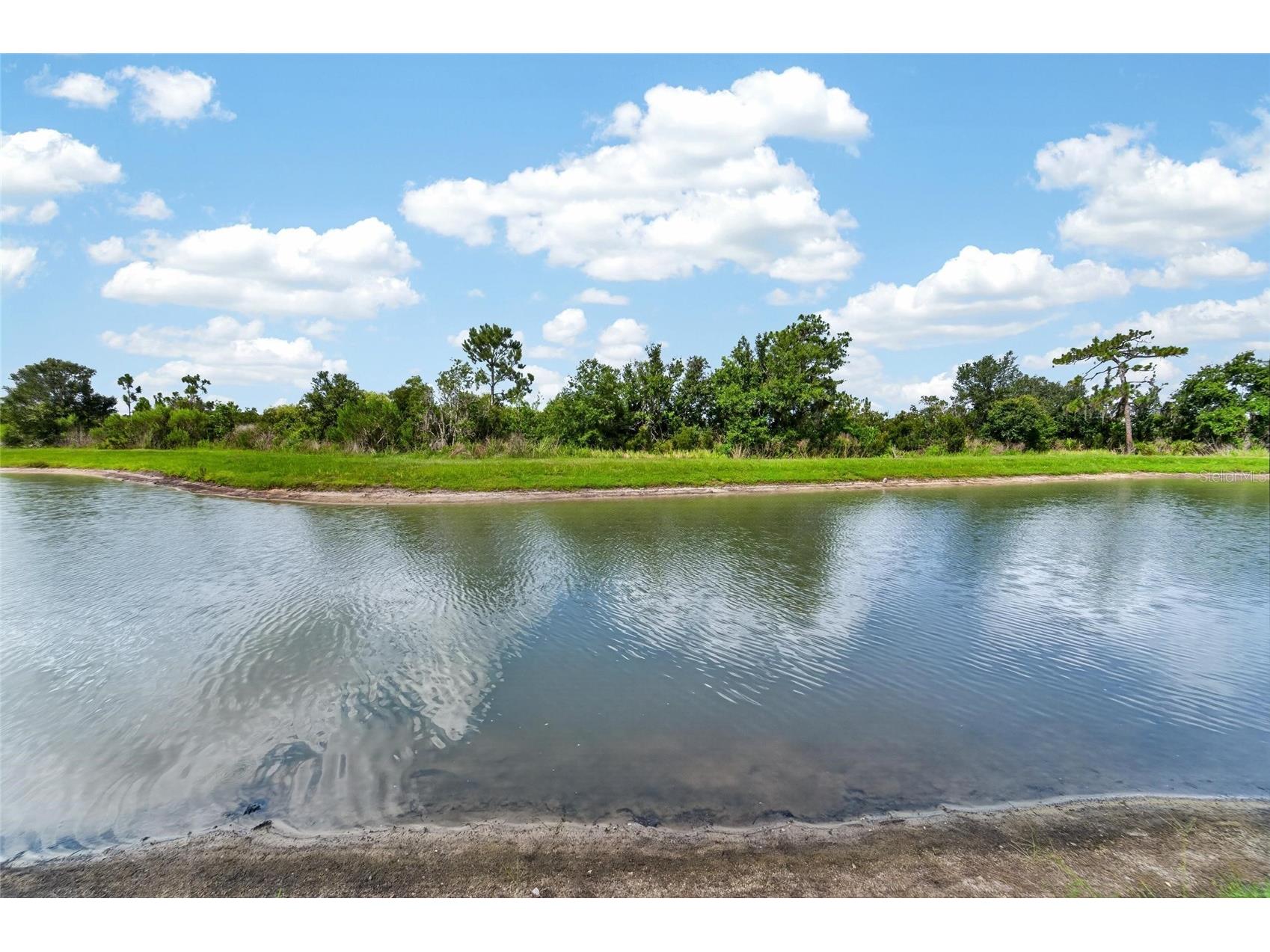 33046 Major Oak Drive Wesley Chapel FL 33545 TB8522225 image46