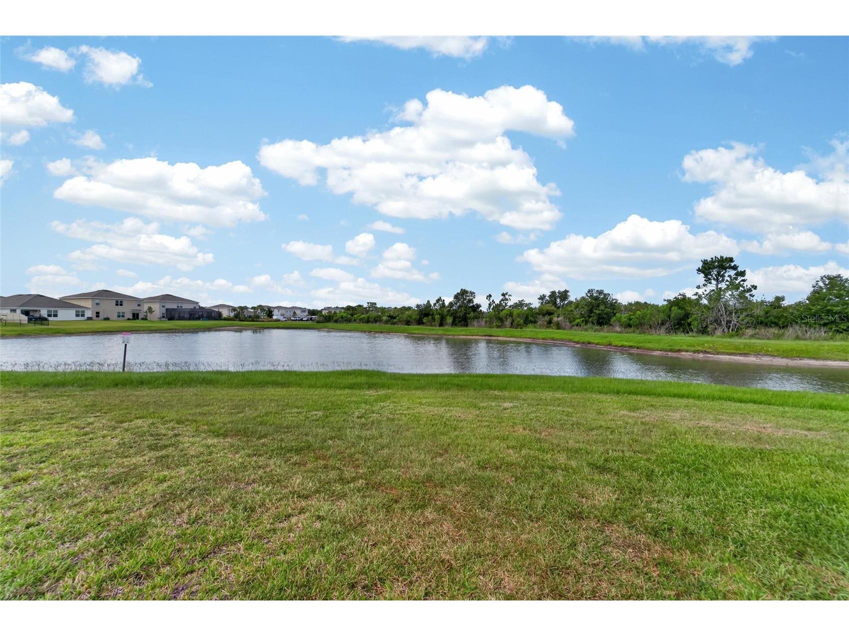 33046 Major Oak Drive Wesley Chapel FL 33545 TB8522225 image47