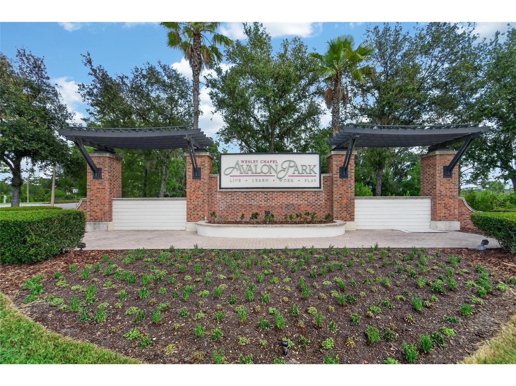 33046 Major Oak Drive Wesley Chapel FL 33545 TB8522225 image49