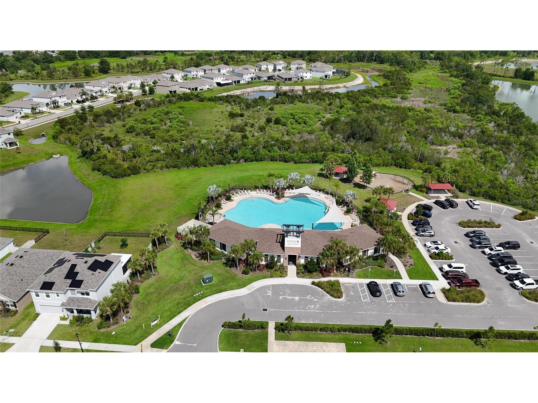 33046 Major Oak Drive Wesley Chapel FL 33545 TB8522225 image59