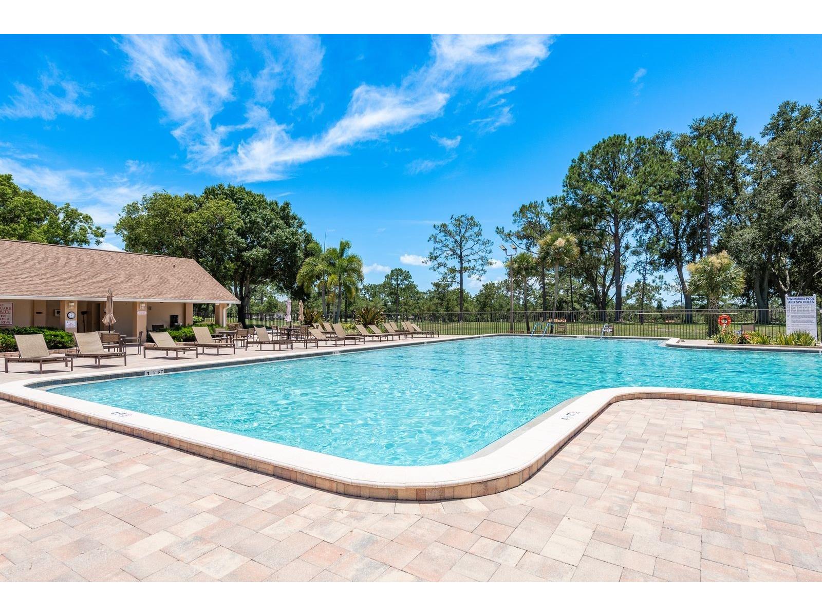 3305 Gorse Court Palm Harbor FL 34684 TB8485555 image26