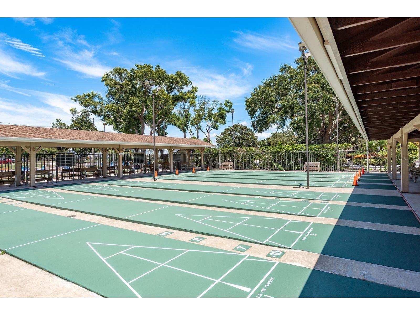 3305 Gorse Court Palm Harbor FL 34684 TB8485555 image29