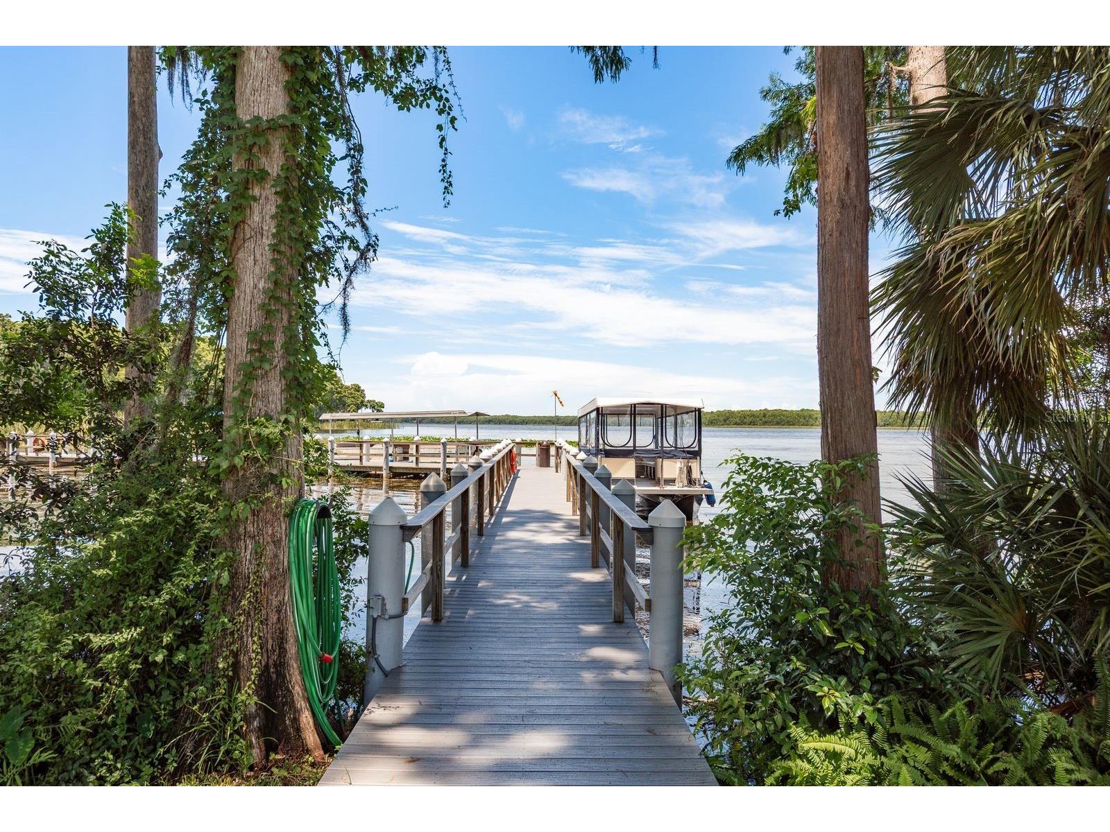 3305 Gorse Court Palm Harbor FL 34684 TB8485555 image31