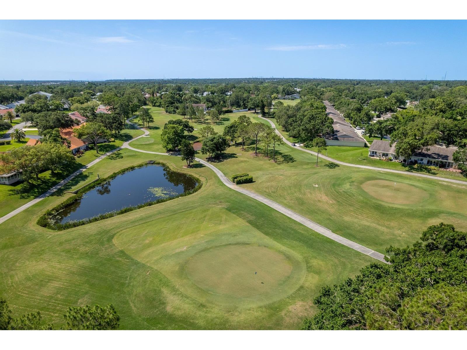 3305 Gorse Court Palm Harbor FL 34684 TB8485555 image34