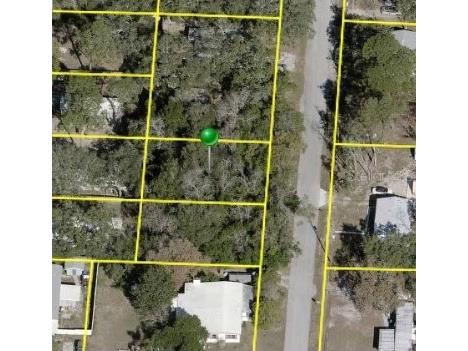 3305 Harden Street Spring Hill FL 34606 OM659434 image1