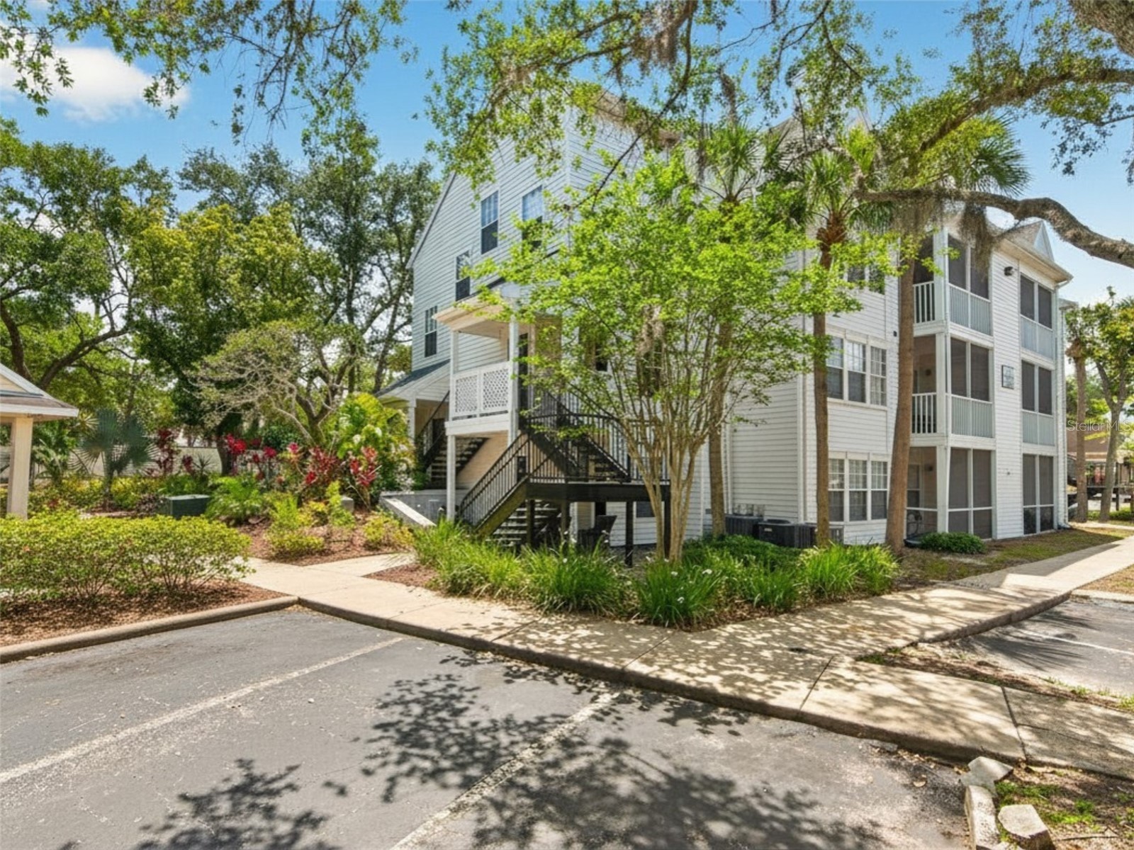 3305 Haviland Court #301 Palm Harbor FL 34684 TB8510859 image2