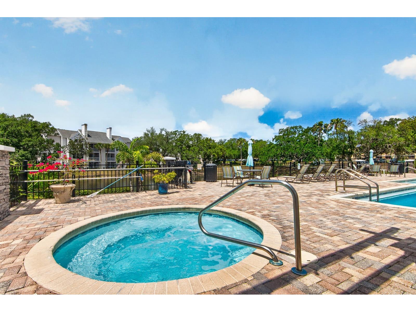 3305 Haviland Court #301 Palm Harbor FL 34684 TB8510859 image26