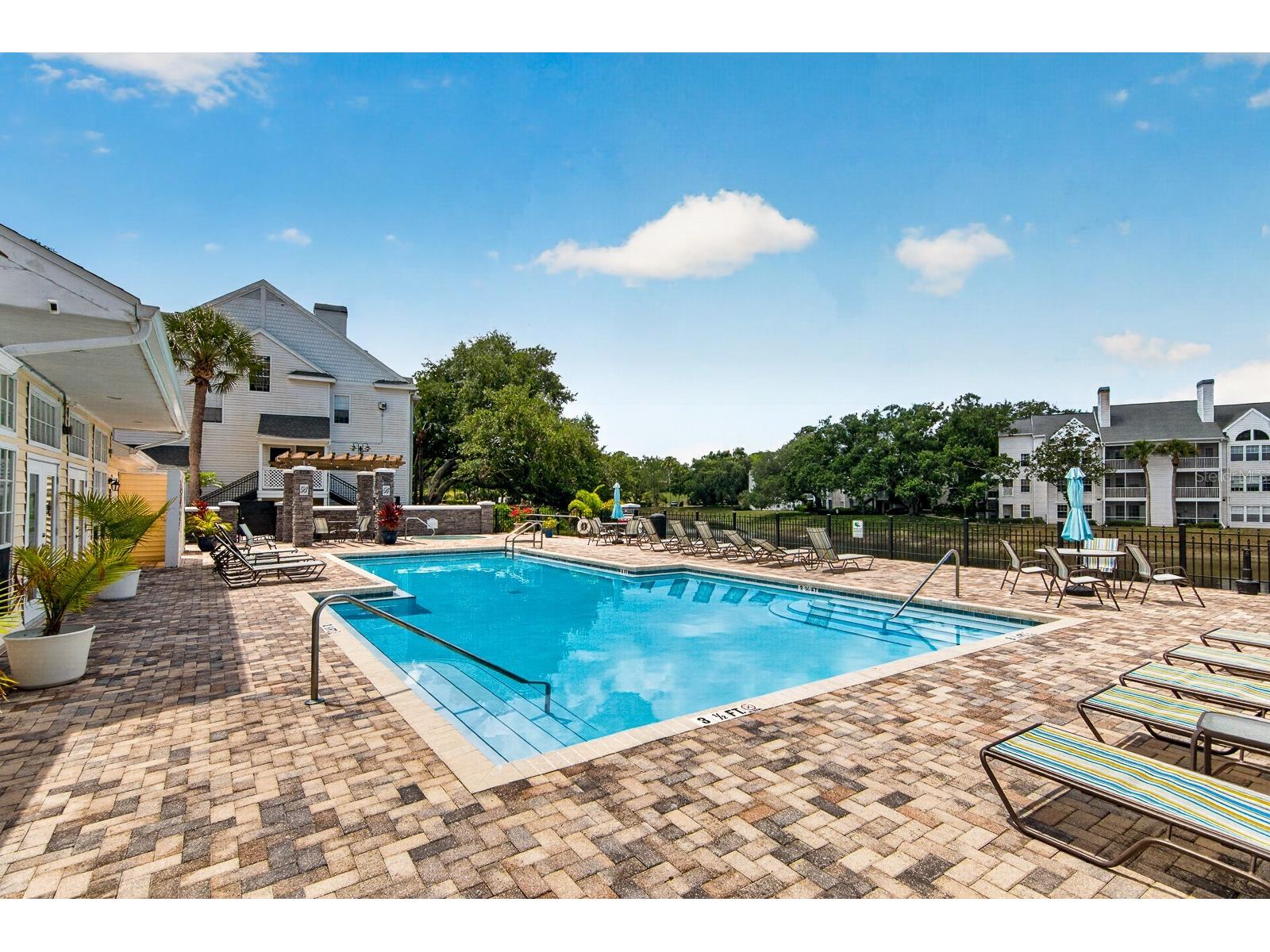 3305 Haviland Court #301 Palm Harbor FL 34684 TB8510859 image27