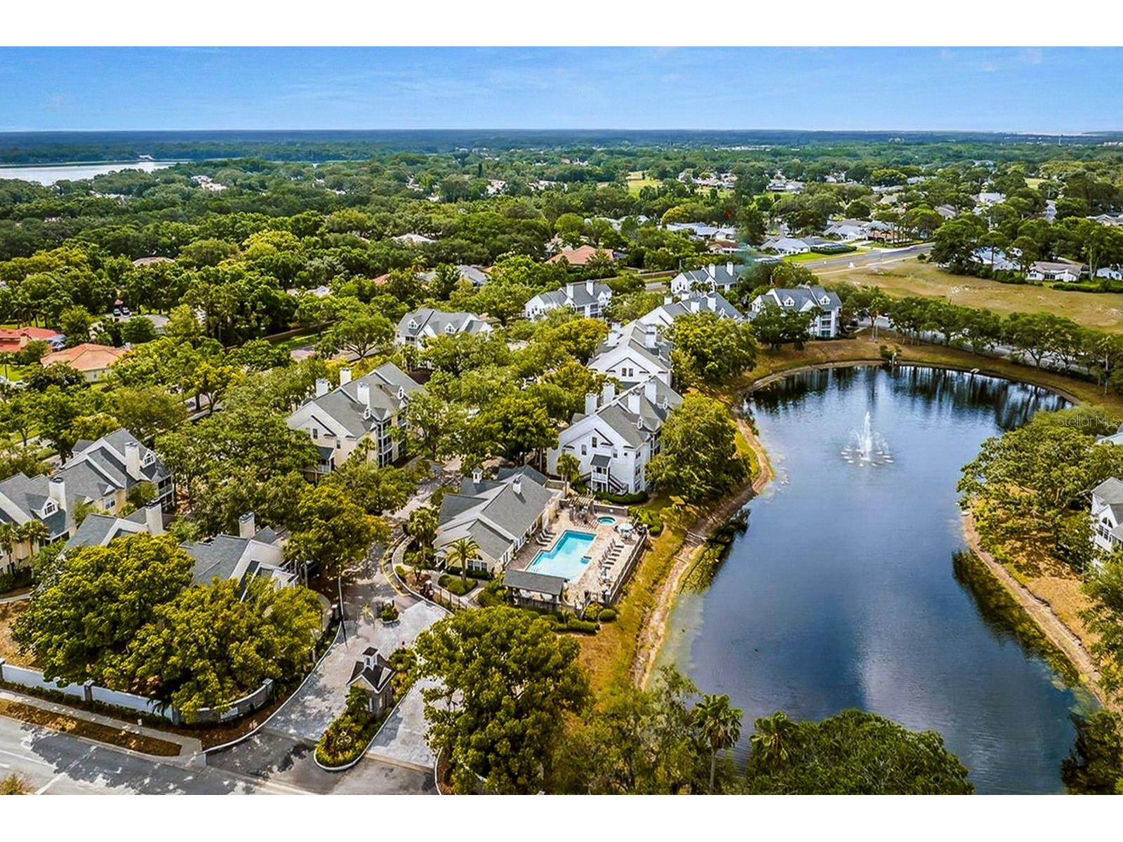 3305 Haviland Court #301 Palm Harbor FL 34684 TB8510859 image33