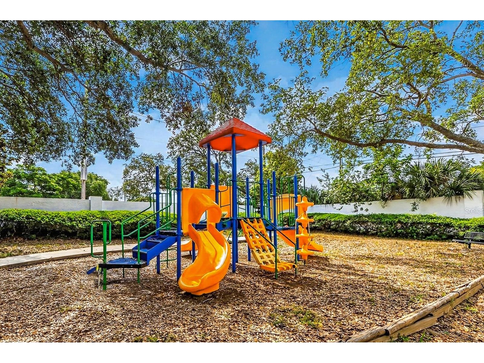 3305 Haviland Court #301 Palm Harbor FL 34684 TB8510859 image36