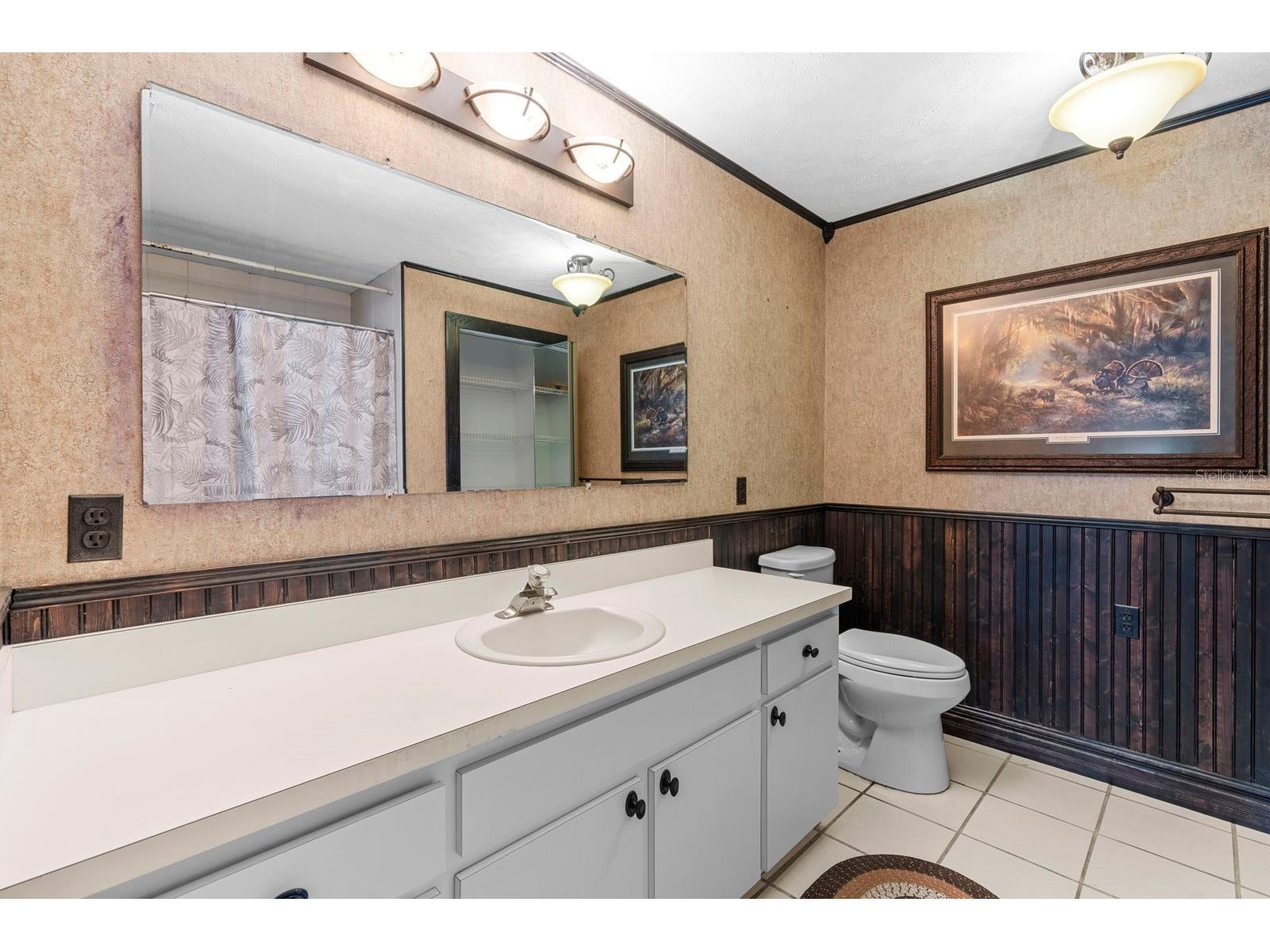 3305 Lampp Road Plant City FL 33565 TB8449245 image20