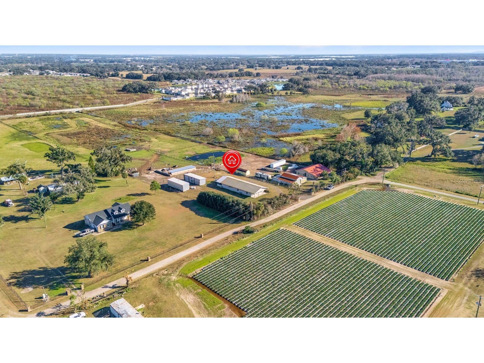 3305 Lampp Road Plant City FL 33565 TB8449245 image44