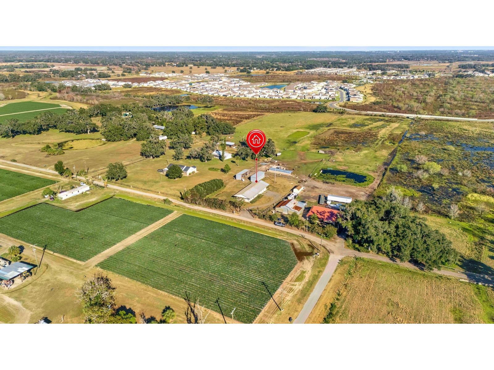 3305 Lampp Road Plant City FL 33565 TB8449245 image46