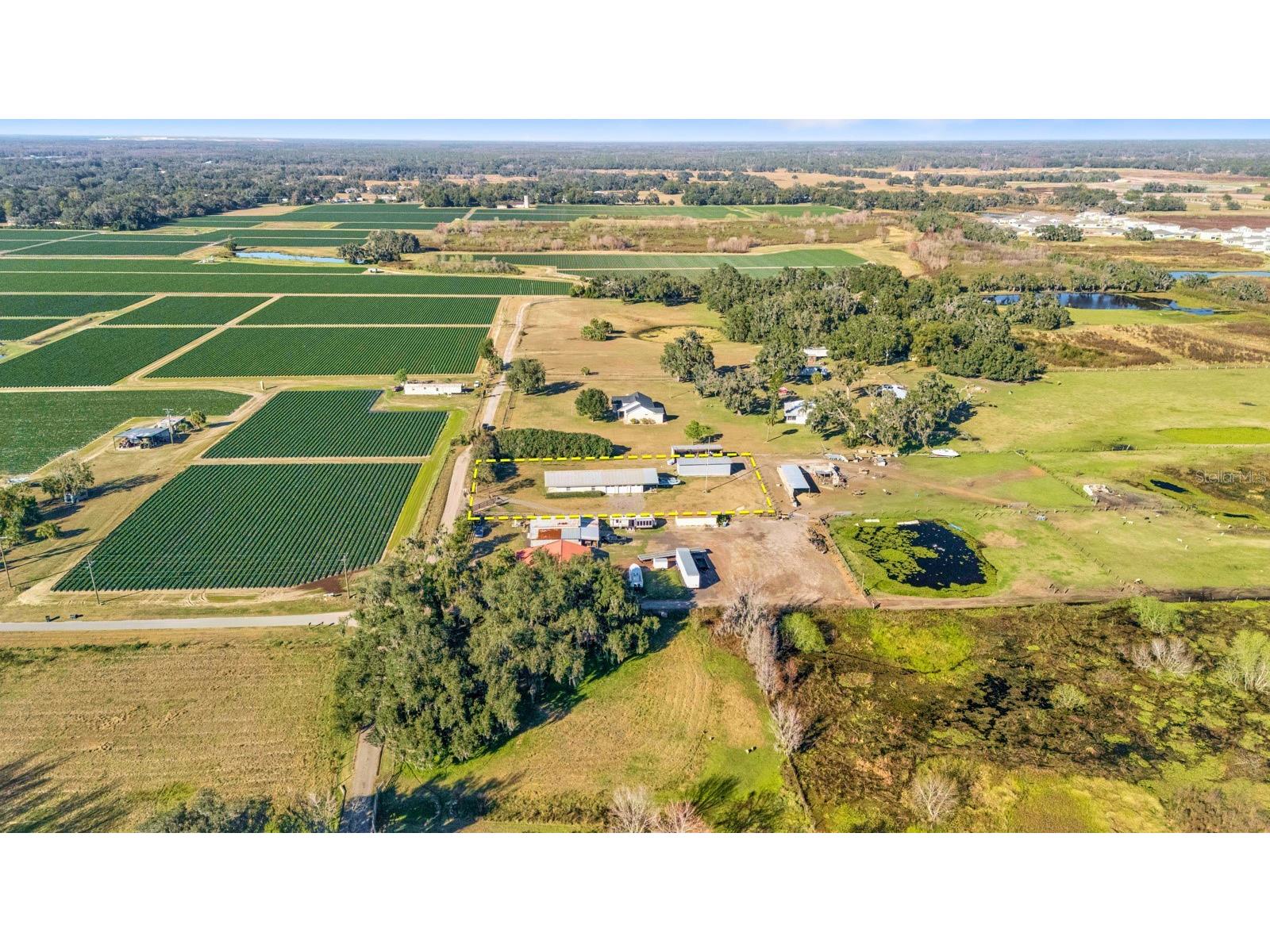 3305 Lampp Road Plant City FL 33565 TB8449245 image47