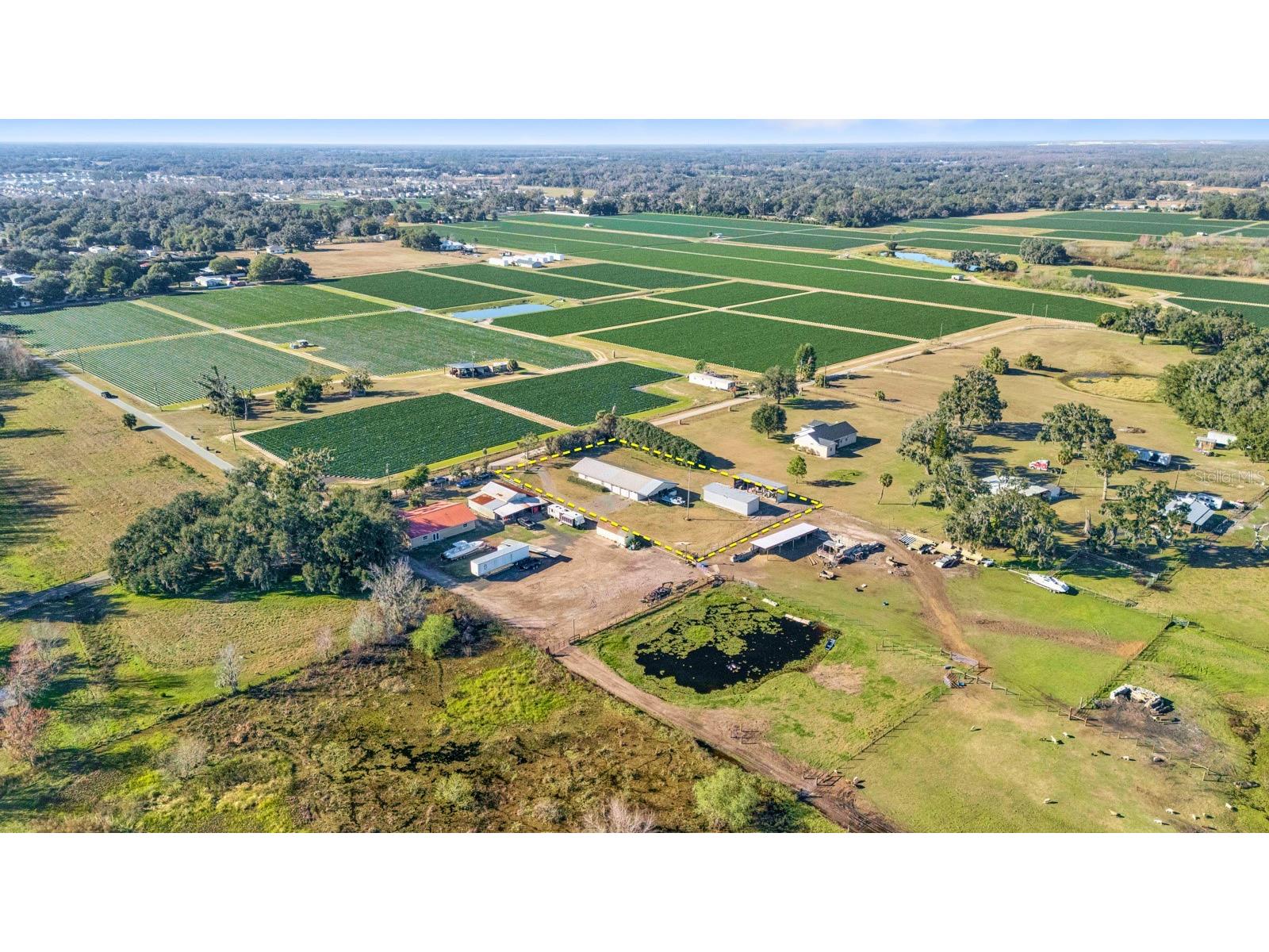 3305 Lampp Road Plant City FL 33565 TB8449245 image6