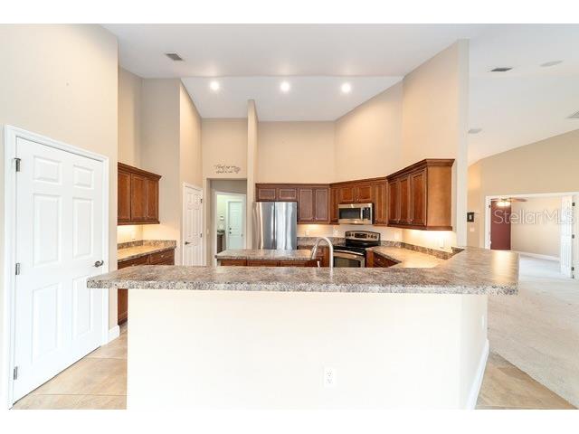 3305 NE 106th Street Anthony FL 32617 OM715089 image17