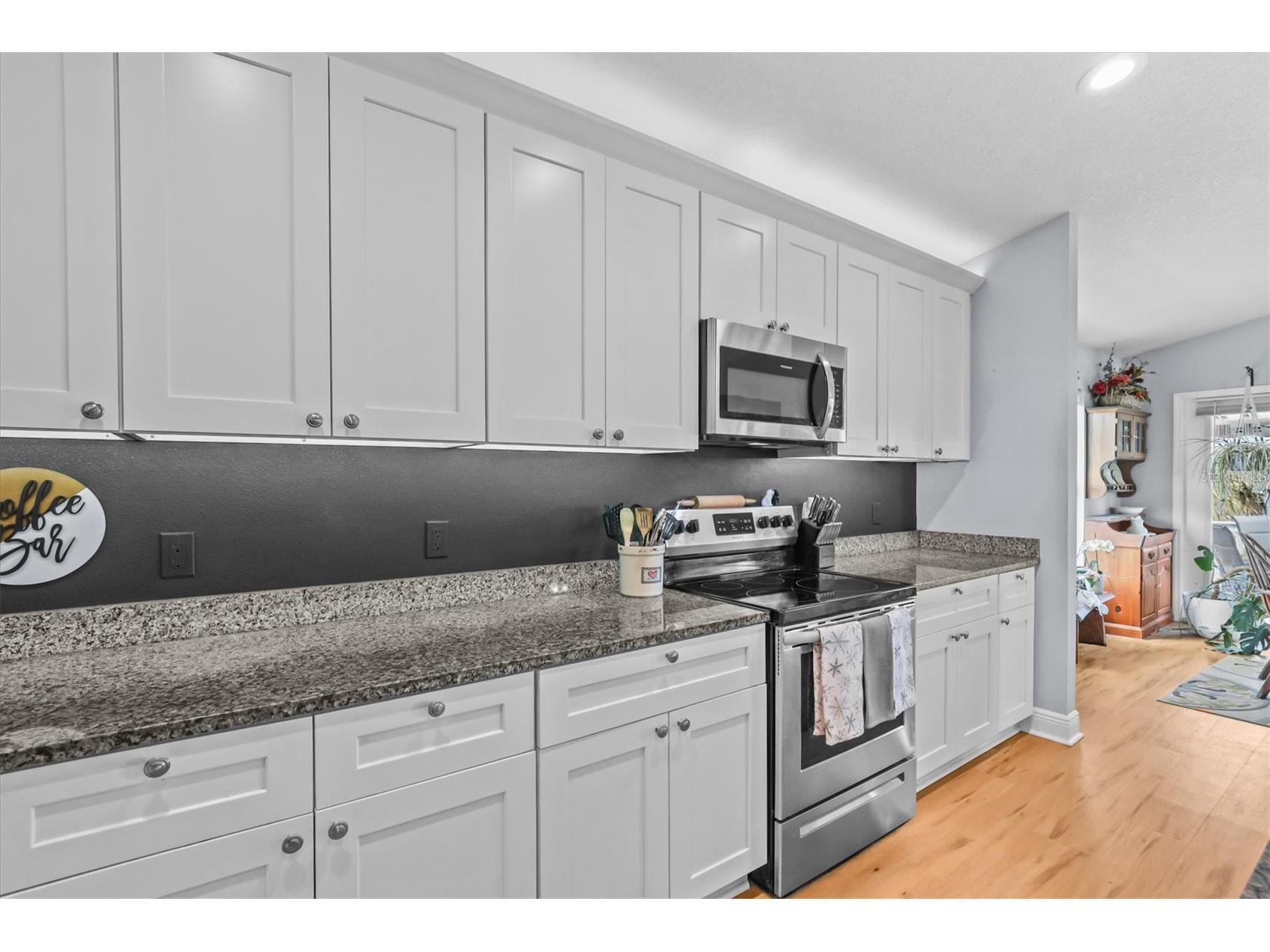 3305 Rose Arbor Drive Hernando Beach FL 34607 W7886191 image14